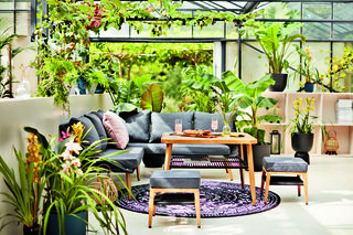 Biophilic Design to najmodniejszy z trendów. Tak wprowadzisz go w swoim wnętrzu