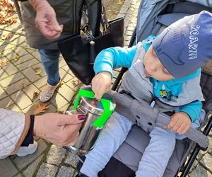 Stary Cmentarz w Tarnowie 2022