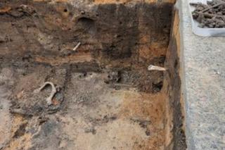 Podczas remontu znaleziono ludzkie szczątki. Należały do przynajmniej 700 osób