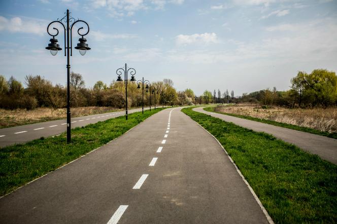 Wykopy i wycinka drzew przy bulwarach nad Mleczną. 