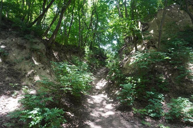 Sandomierz. Wąwóz Św. Królowej Jadwigi