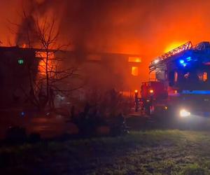 Ogromny pożar w Kaninie. Płonie zakład meblarski, na miejscu pracuje 100 strażaków
