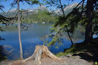 Co stało się z Karolem Kozakiem?