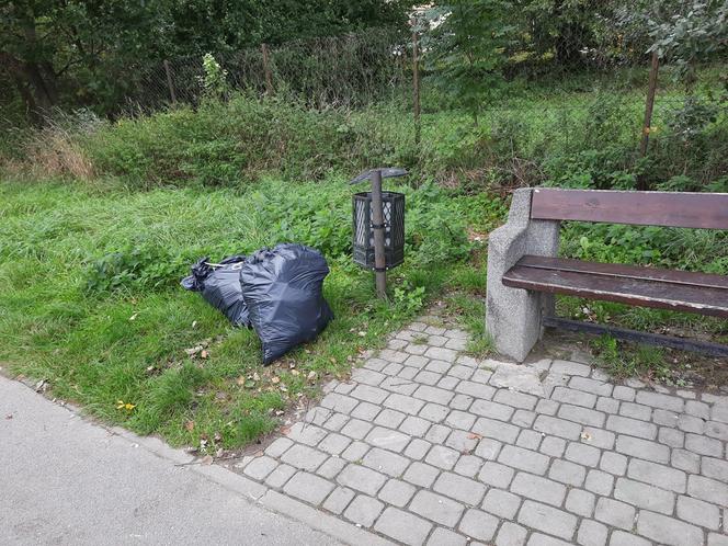 Więźniowie pomagali sprzątać Przemyśl. Zebrano 5 ton śmieci! [ZDJĘCIA]
