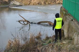 Rzeszów: Trwają poszukiwania zaginionej kobiety