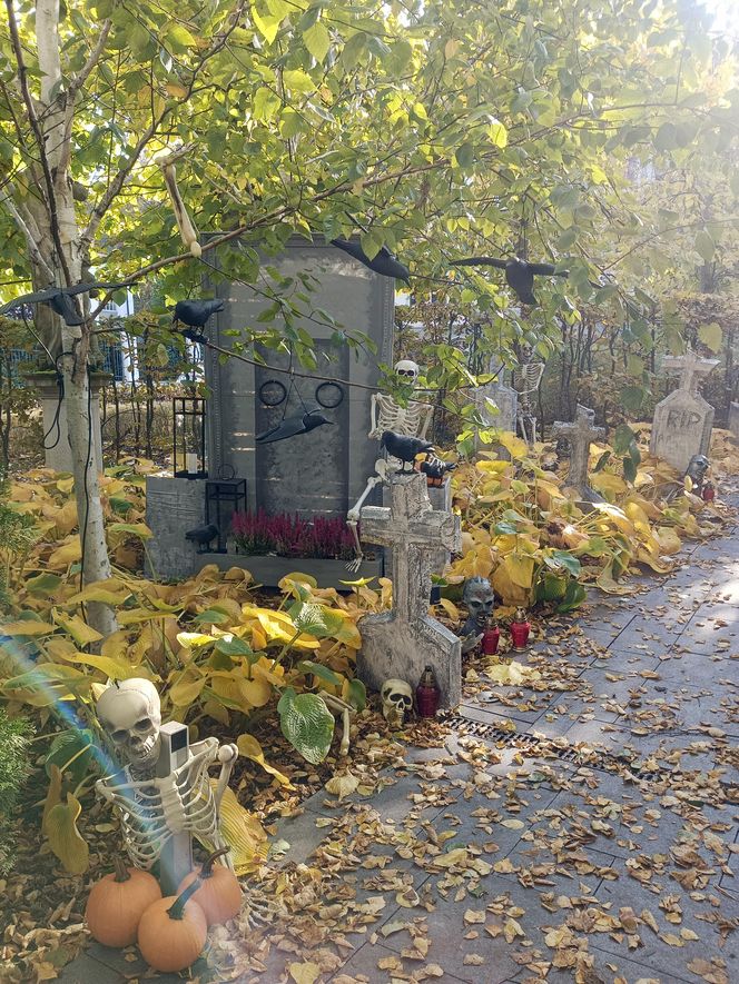 Willa na Jaśkowej Dolinie w Gdańsku znów straszy! Tegoroczny motyw Halloween budzi niepokój