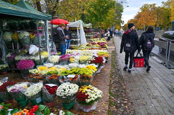 Porządki na Cmentarzu Centralnym w Szczecinie