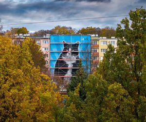 Na ul. Rugiańskiej powstaje mural z kotem Gackiem