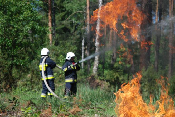 Płoną 2 hektary lasu w okolicy wsi Doktorce! - taki komunikat usłyszał dyspozytor podlaskiej straży pożarnej