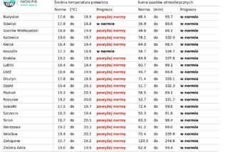 Długoterminowa prognoza pogody IMGW na lato w Polsce