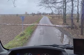 Niebezpieczne podmuchy wiatru w Łódzkiem. Strażacy interweniowali 140 razy