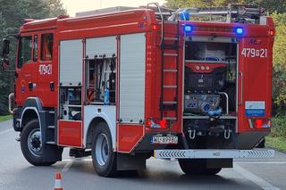 Potworna śmierć. Auto roztrzaskało się na drzewie. Wypadek w Wólce Radzymińskiej