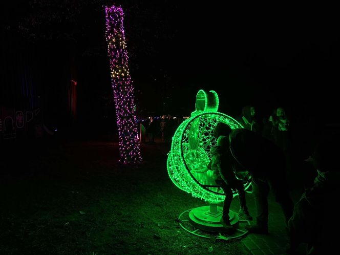 Park Miliona Świateł w Orientarium Zoo Łódź