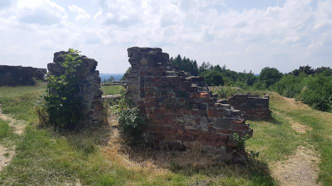 Rekonstrukcja zamku w Tarnowie