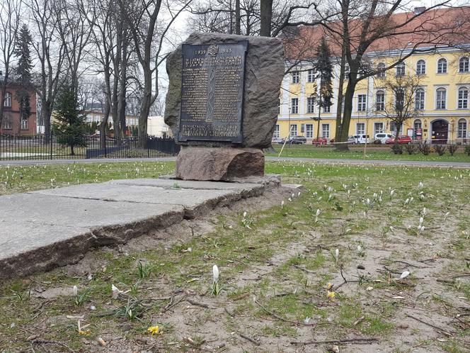 W parku na Pl. Kościuszki przygotowania do nowego sezonu