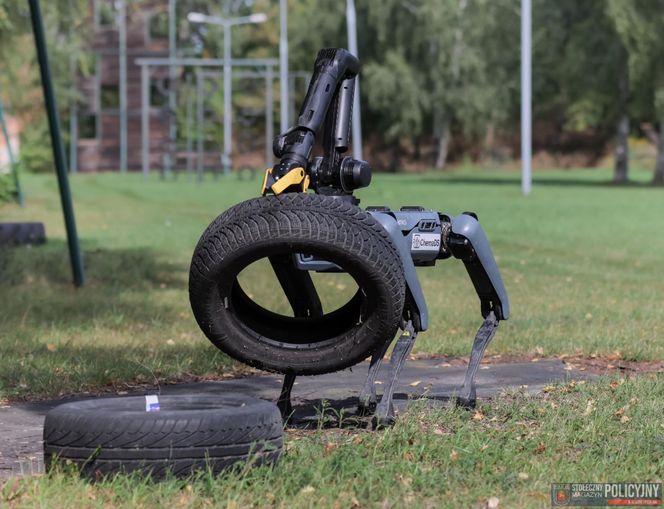 Robopies odwiedził i ćwiczył z warszawskimi policjantami