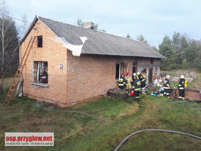 80-latka zginęła w pożarze swojego domu. Jej ciało leżało obok spalonego łóżka 