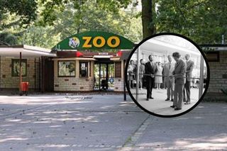 Poznańskie zoo ma już 50 lat! Jesteśmy jedynymi mieszkańcami ogrodu, którzy pamiętają otwarcie [ZDJĘCIA]