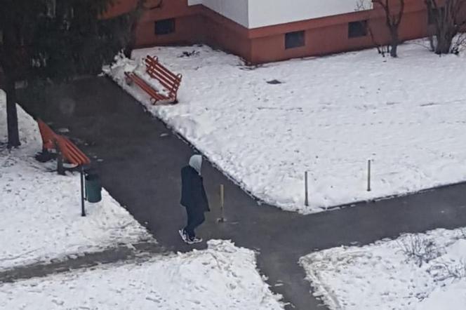 Tragedia na placu zabaw na łódzkich Bałutach! Zabójca na wolności! TRWAJĄ POSZUKIWANIA
