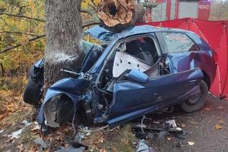 Audi wbiło się w drzewo, 18-latka nie żyje