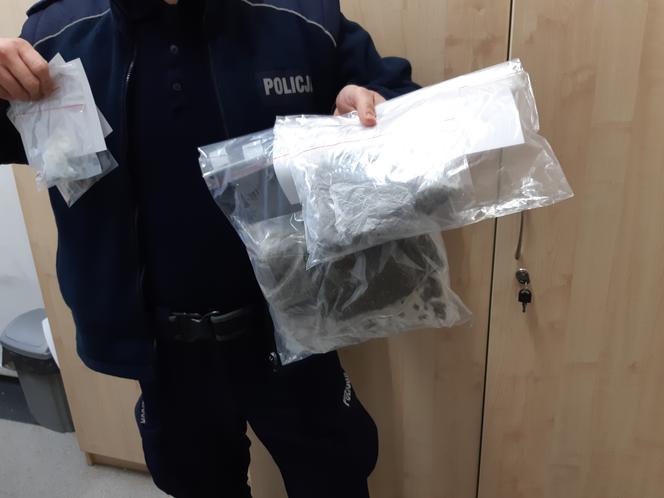 Nalot kryminalnych na działkę pod Toruniem. 27-latek odpowie za narkotyki
