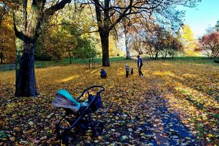 Złota polska jesień pod Bydgoszczą. Tak pięknie w ostromeckim parku chyba jeszcze nie było! [DUŻO ZDJĘĆ] 