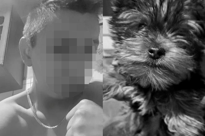  Tomasz i jego ukochany psiak zginęli w Unisławiu. Rodzinny koszmar 