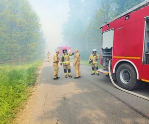 Pożar lasu w gminie Łopuszno! Strażacy walczyli z ogniem, w akcji samoloty gaśnicze