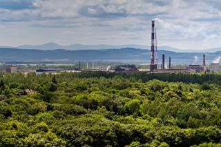 Polska Miedź dba o piękno natury 
