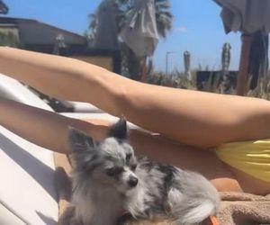 Doda w skąpym kostiumie prezentuje swoje wdzięki. Co za figura!