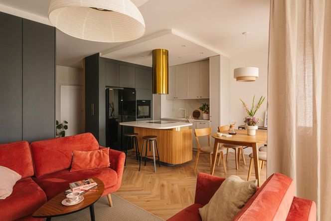 Salon i kuchnia