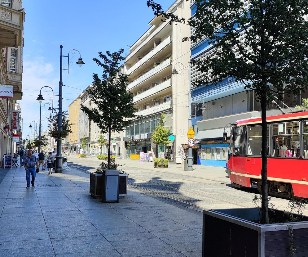 Katowice jak patelnia. Obowiązuje ruch cieniostronny. Nawet gołębie chowają się w cieniu