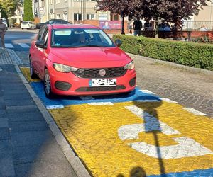 ​Ktoś przemalował strefę „Pocałuj i Jedź” przy Szkole Podstawowej nr 10 w Lesznie. Bo kojarzyła się z barwami Ukrainy