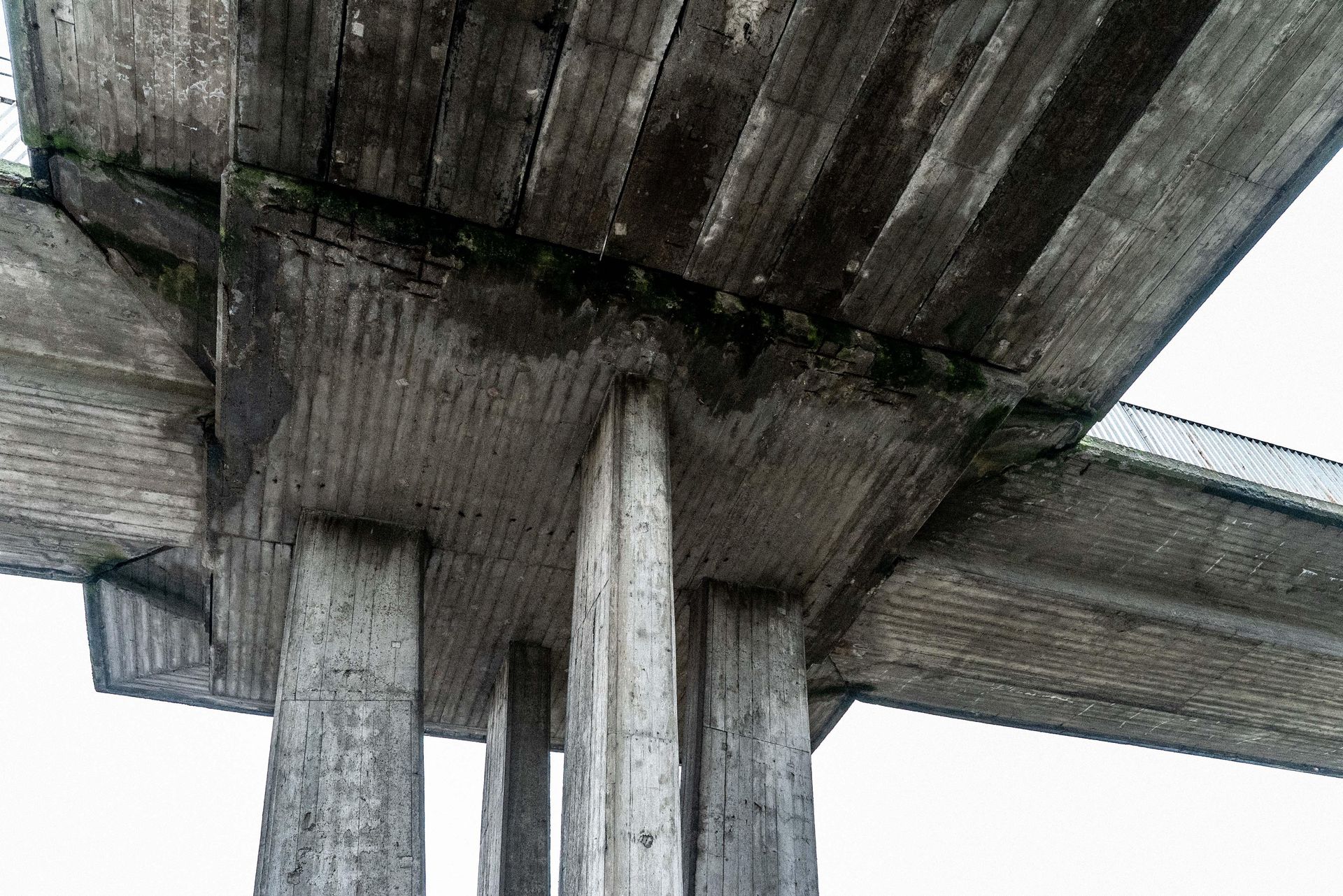 Kładka na Zaspie w Gdańsku