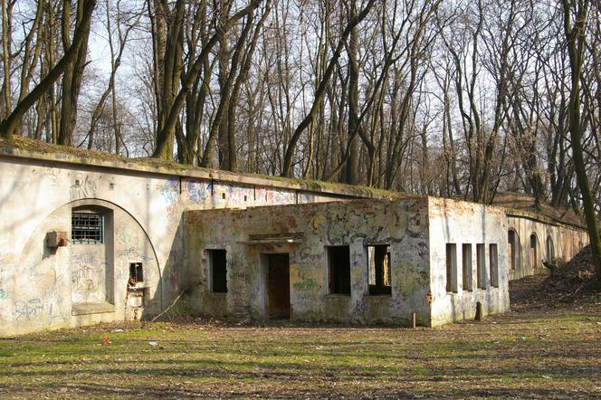 Drzewa wycięte i petycja oficjalnie odrzucona. Na nic zdał się opór mieszkańców ws. wycinki przy Forcie Batowice