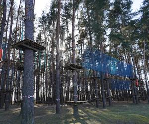 Powstaje park linowy w Białymstoku! To nowa inwestycja na plaży Dojlidy