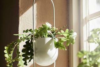 Wiosenne dekoracje okna - IKEA/doniczka wisząca