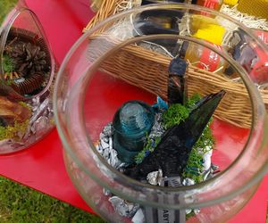 4. Miejskie Miodobranie w Zamościu
