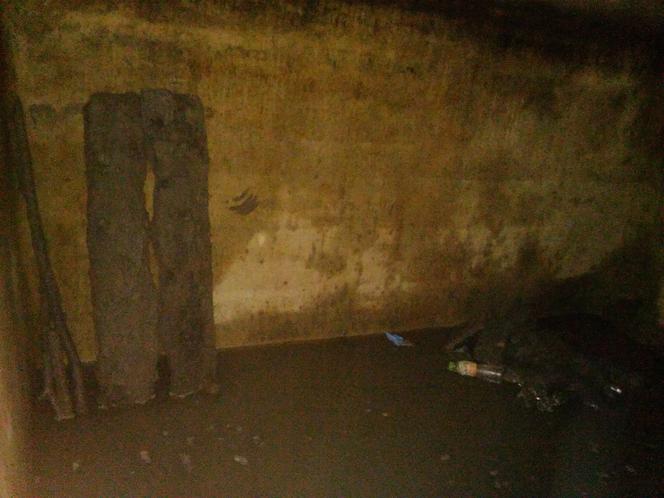 Odkopałem w ogródku niemiecki bunkier