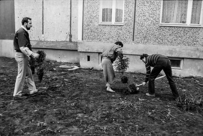 Czyn społeczny, 1988