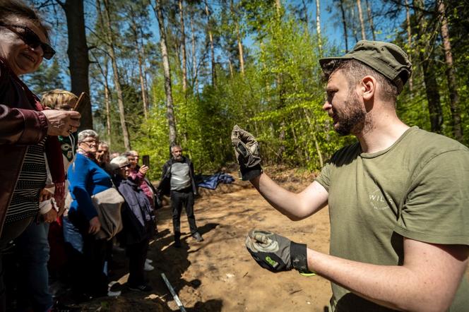 W Lesie Szpęgawskim odnaleziono zbiorową mogiłę. Dokonano tam masowych zbrodni niemieckich z II wojny światowej