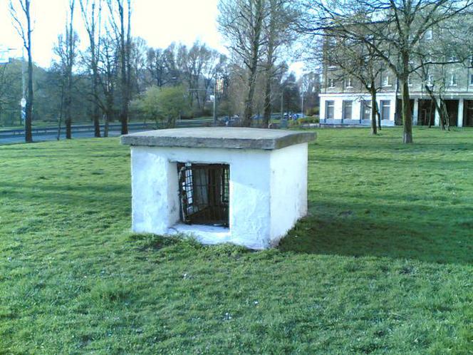 Wyłaz Schronowy