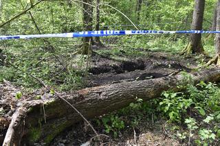 Koszmarne odkrycie pod Warszawą. Ciała 13-letnich dziewczynek znalezione w lesie