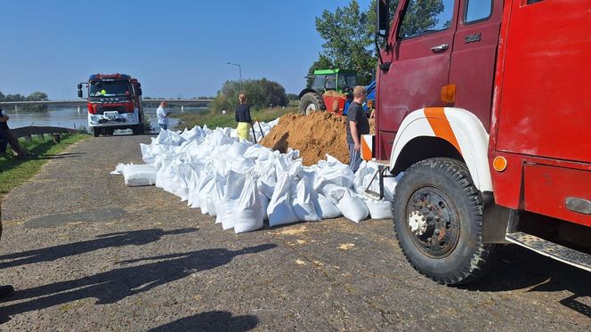 Monitorują i pakują worki z piaskiem. Powiat górowski przygląda się Odrze