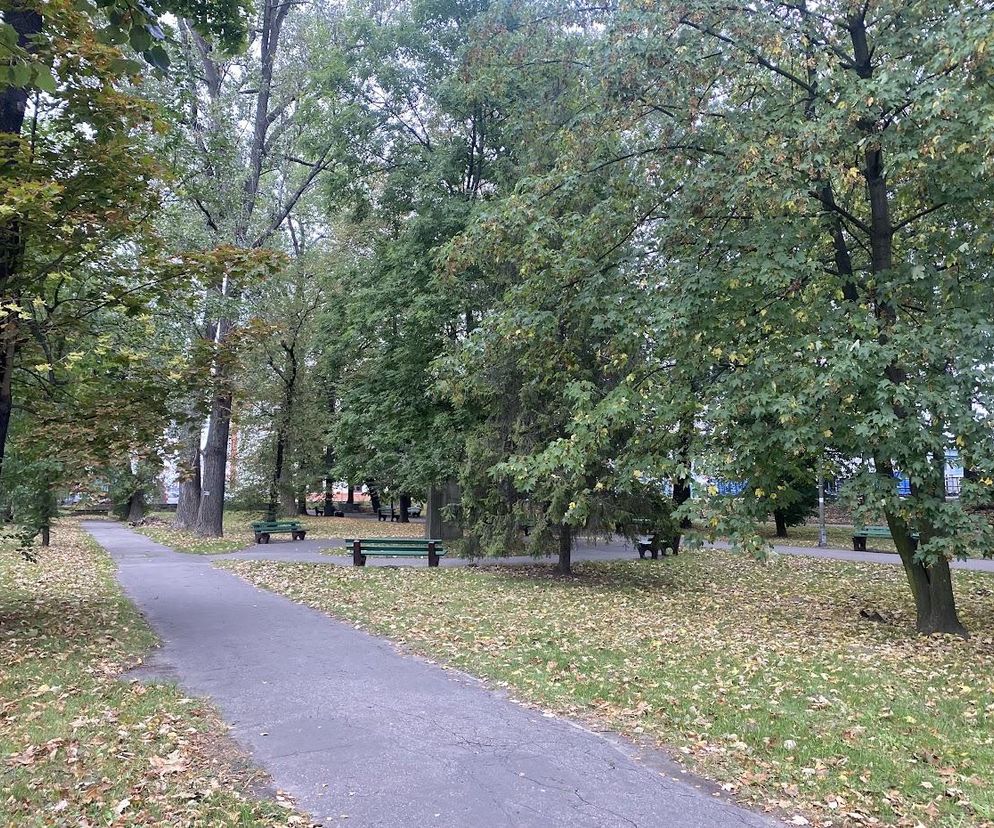  Mieszkańcy mówią „Tak”  Czy w Nowym Sączu powstanie nowy park? 