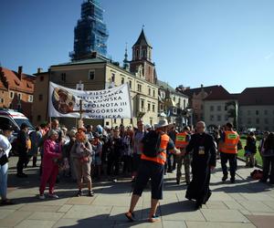 Pielgrzyma na Jasną Górę ruszyła z Krakowa. Tłumy uczestników zmierzają do Częstochowy