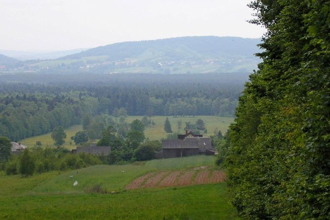 Klonów - urokliwa wieś w sercu Puszczy Świętokrzyskiej