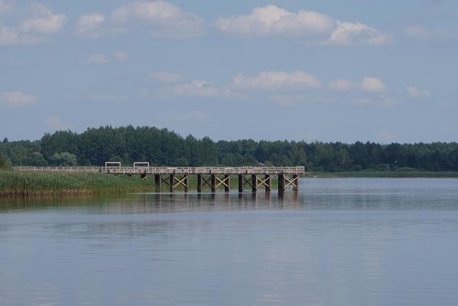 Podlaska Atlantyda, czyli Zalew Siemianówka i okolice