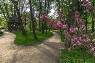 To jedno z najpopularniejszych uzdrowisk w Małopolsce. Turyści uwielbiają je także jesienią [GALERIA]