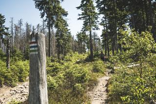 Źródła Wisły - Barania Góra jakiej nie znaliście. Polska Na Przełaj IV z Wędrownymi Motylami pod patronatem eska.pl i Radia ESKA trwa!